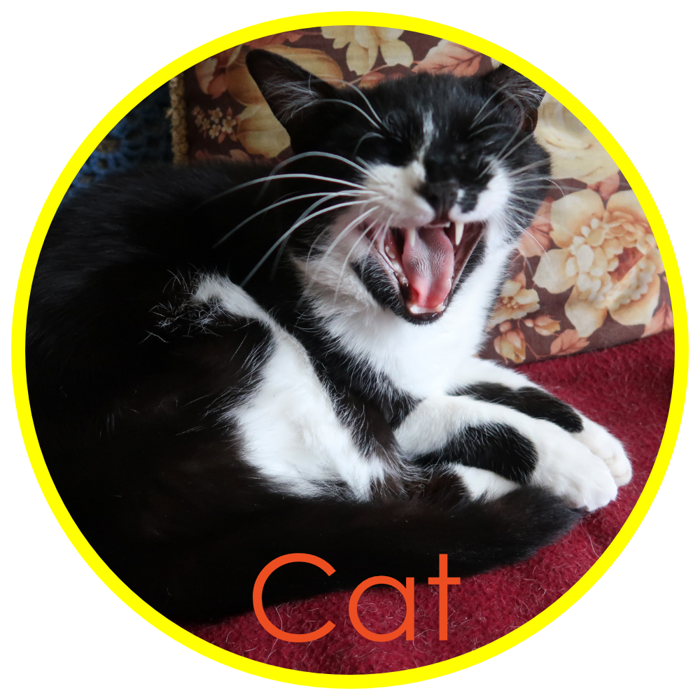 cat logo